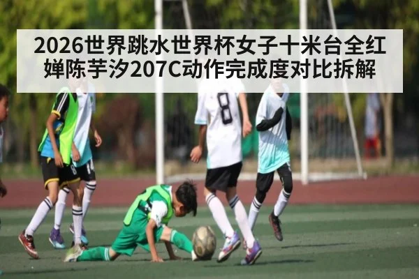 2026世界跳水世界杯女子十米台全红婵陈芋汐207C动作完成度对比拆解